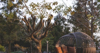 Meraki Wellness Retreat