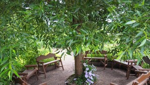 Un jardín con bancos y mesas de madera dispuestas alrededor de un árbol central.