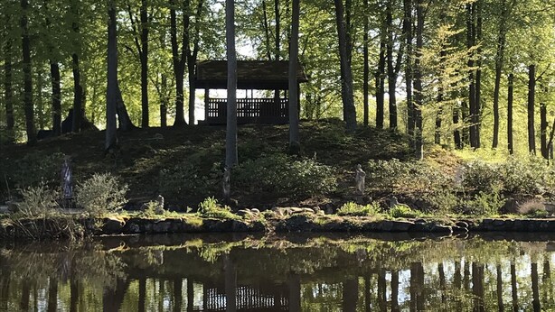 Un entorno tranquilo junto al lago, con una estructura de madera rodeada de altos árboles y una masa de agua en calma que refleja los alrededores.