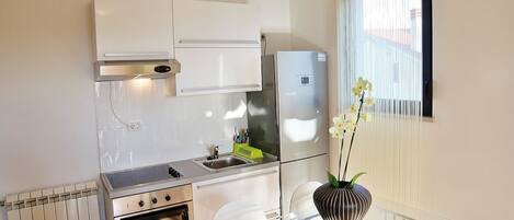 Leilighet, 1 dobbeltseng med sovesofa | Eget kjøkken | Kokeplater og kjøkkenutstyr