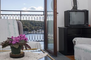 Un balcon donnant sur un plan d’eau et sur de la verdure, un téléviseur posé sur un meuble et une plante en pot ornée de fleurs violettes.