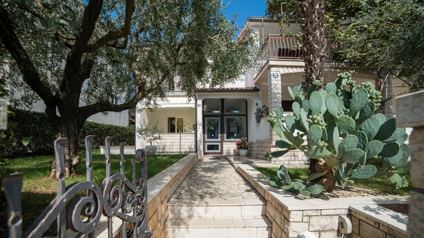 A pathway leading to a house with a door, surrounded by greenery and a cactus plant. - Apartments Silvano 407 (Porec)
