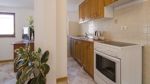 Private kitchen - Apartment Patricija (Rovinj)