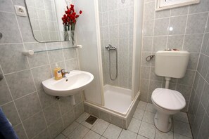 Appartement, plusieurs lits | Salle de bain | Douche