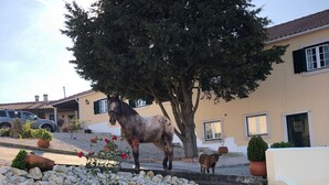 Una estàtua d'un cavall en una zona enjardinada amb un edifici al fons.
