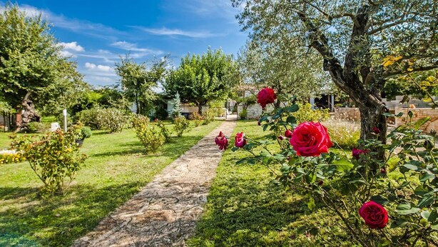 Appartement, 2 tweepersoonsbedden | Binnenplaats