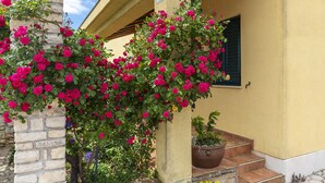 Property entrance - Vila Mare / Superior Two Bedrooms A2 (Rovinj)