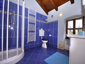 A bathroom with blue tiles, a shower, a toilet, and a sink.