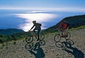 Villa, varias camas | Sala de fitness