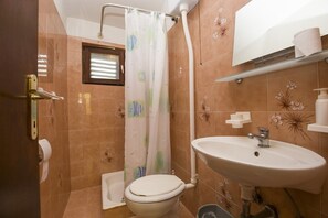 Apartemen, 1 Tempat Tidur Double dengan tempat tidur Sofa | Kamar mandi | Shower