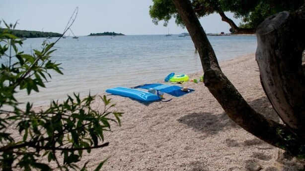 Una playa con un árbol, una orilla arenosa y un mar tranquilo.