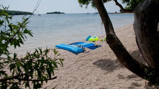 Een strand met een boom en een zandstrand.