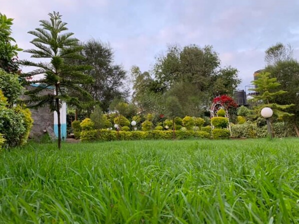 Garden - Wasafi Garden & Spa Kibiko (Nairobi)