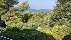 Apartment, 1 Double Bed with Sofa bed | View from property
