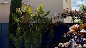 A building with a flat roof, two windows with metal bars, and a variety of plants including a tall conifer and flowering shrubs.