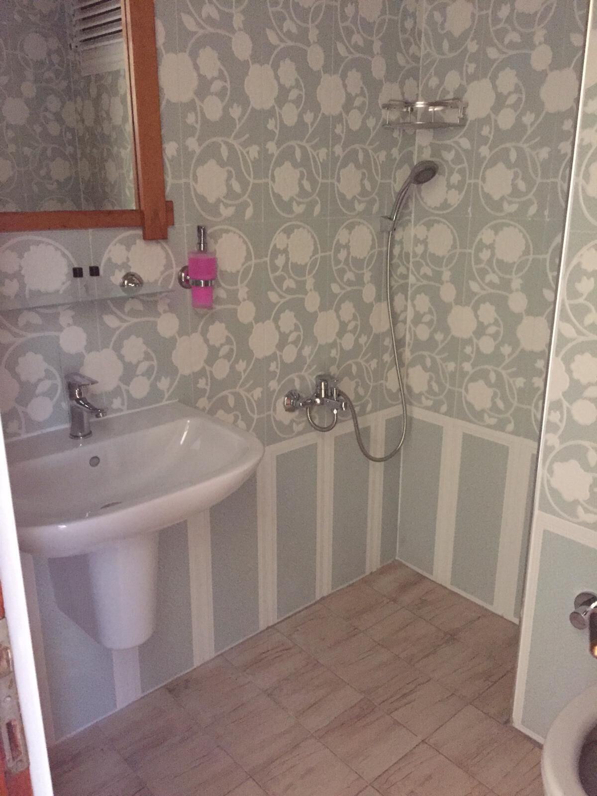 A bathroom with a sink, mirror, shower, and toilet.