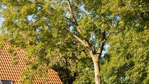 A brick house with a tiled roof, a wooden table and chairs, and a chimney. - Ostsee Ferienhaus Welzin - Schulgartenhaus (Damshagen)