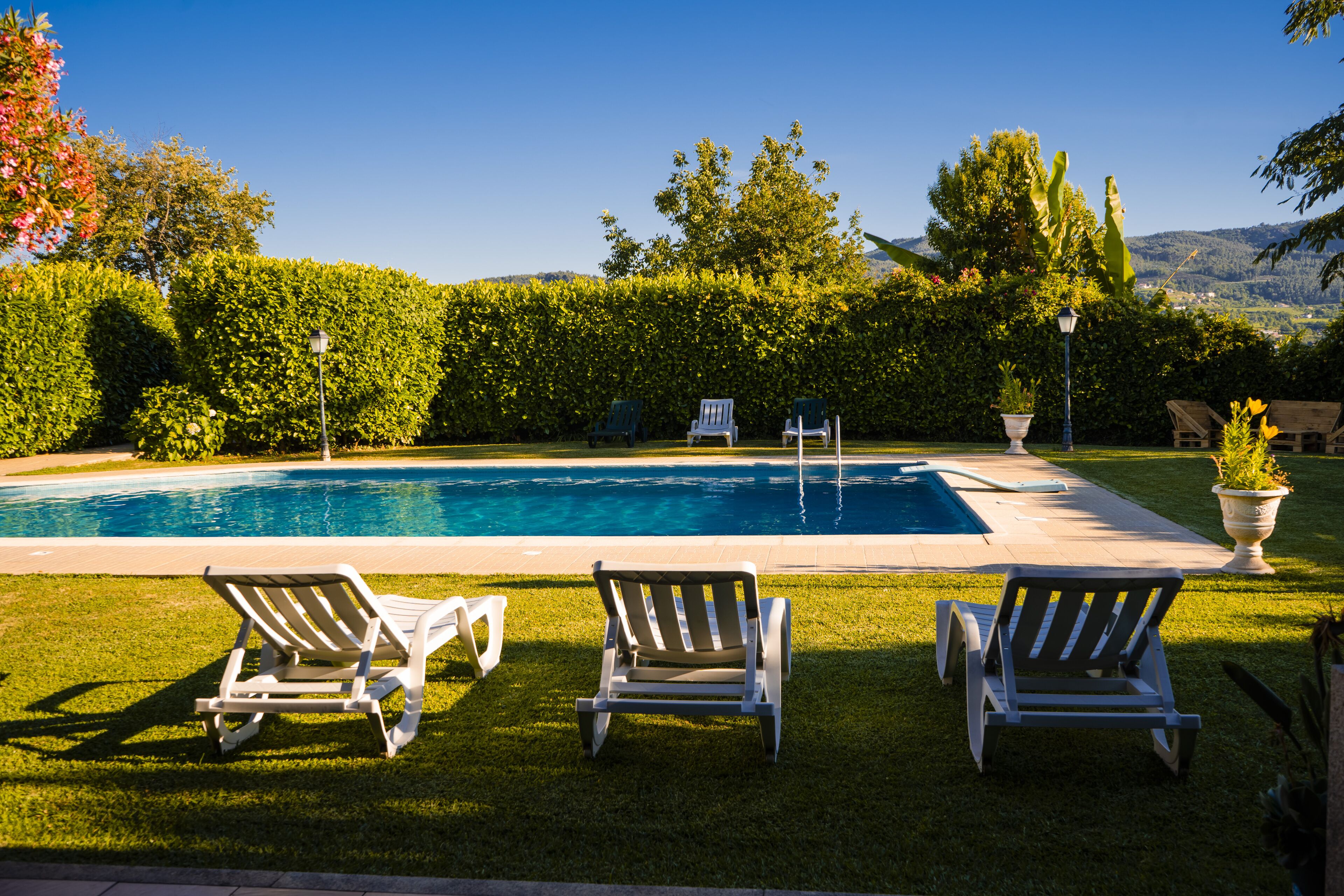 En swimmingpool med tre liggestole og en potteplante.