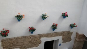 Eine weiße Wand mit mehreren in Töpfen stehenden Pflanzen, die in einer Reihe angeordnet sind.