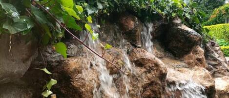 บริเวณที่พัก
