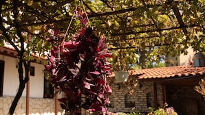 Un jardín con plantas en macetas y flores, un banco de azulejos y un muro de piedra.