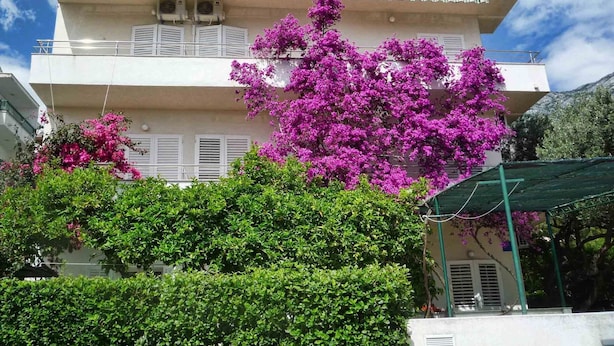 Front of property - Apartments Ruzica Makarska (Makarska)