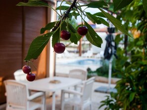 Outdoor dining - Apartments Maya (Liznjan)