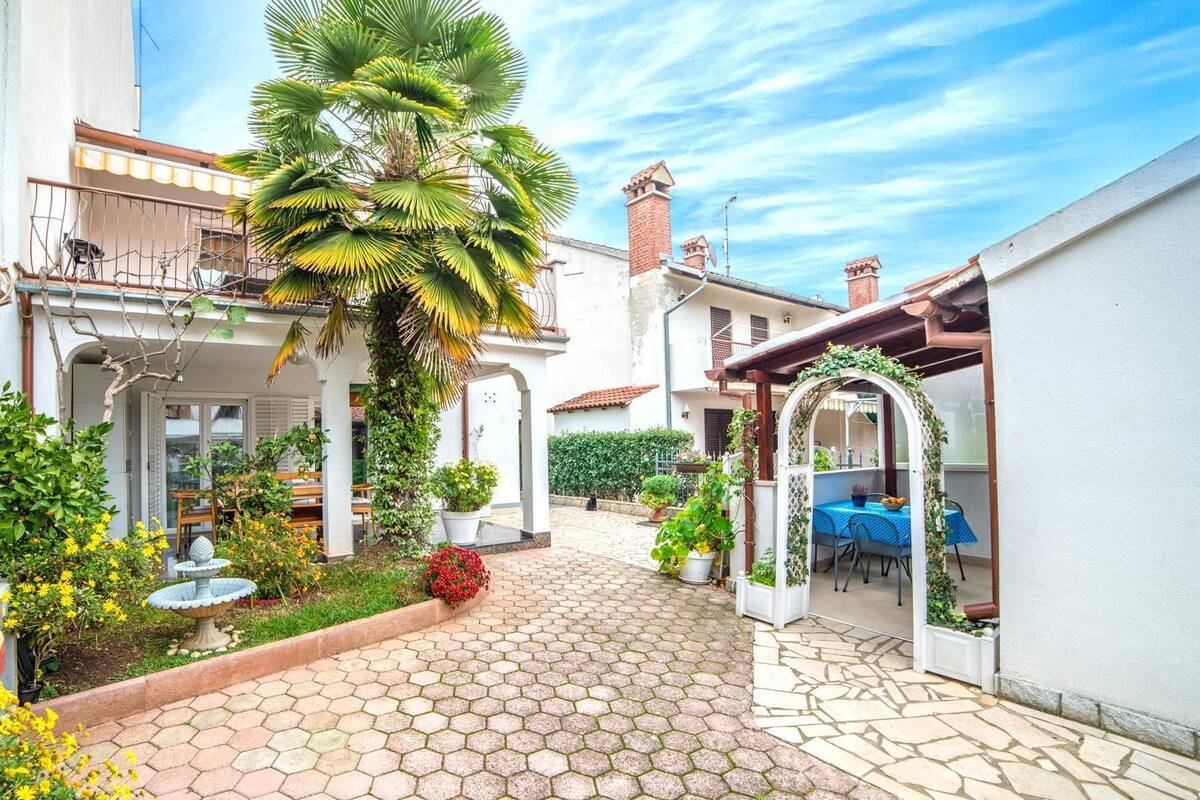 A courtyard with a palm tree, potted plants, and a tiled floor.