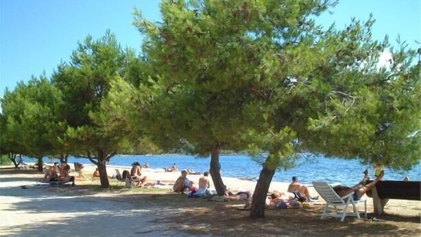 A beach with trees and people relaxing. - Apartments Padrenostro (Zadar)