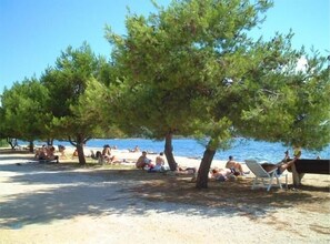 Une plage bordée d’arbres où des gens se détendent.