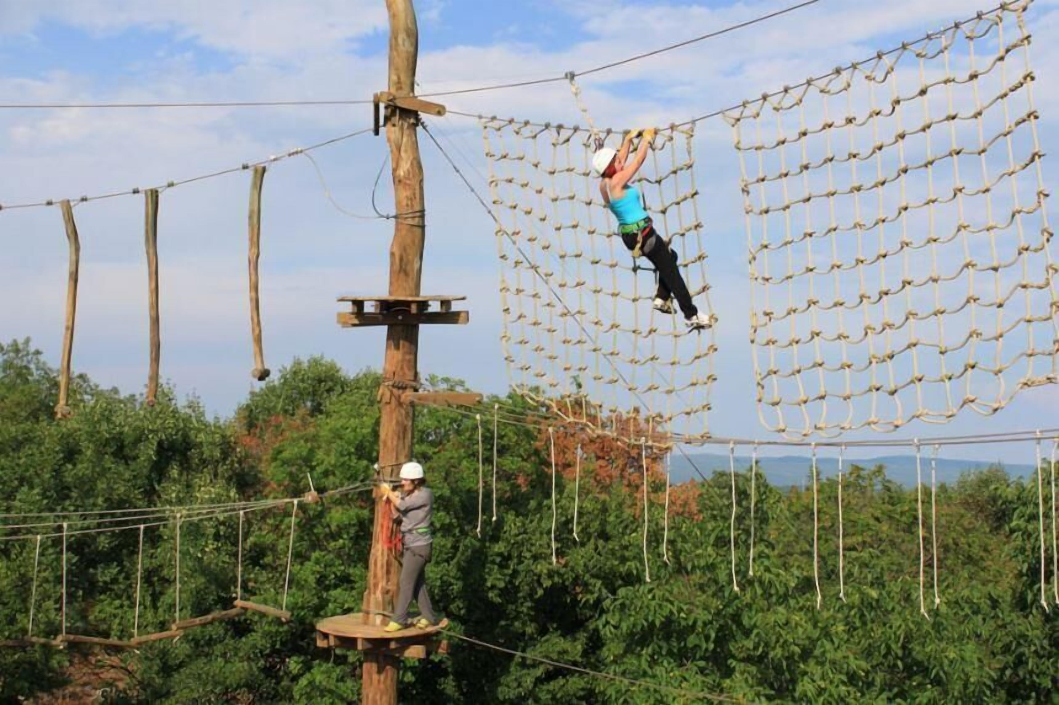 Eine Person überquert eine Hängebrücke in einer natürlichen Umgebung mit Bäumen und blauem Himmel.