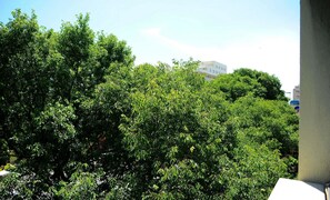 A dense green tree line with a white building in the background. - Family Apartment Teo (Split)