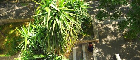 Huoneisto, useita sänkyjä | Ulkoalueet