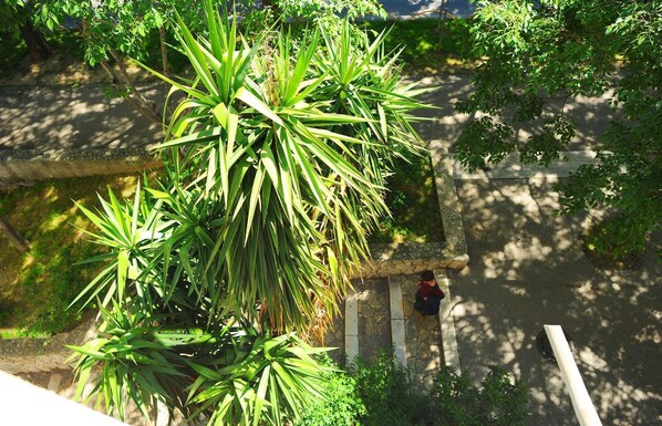 Appartamento, letti multipli | Parco della struttura