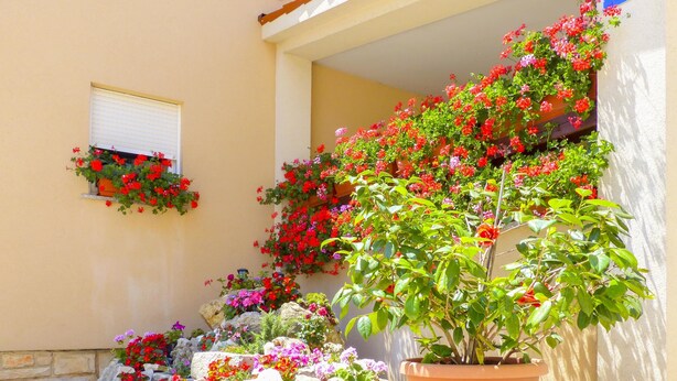 Apartamento, 1 cama de casal e sofá-cama | Fachada da propriedade