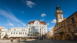 A historic building with a clock tower, surrounded by cobblestone streets and other buildings. - Deer Apart (Cieszyn)