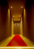 Un pasillo con alfombra roja, iluminación empotrada y un cuadro en la pared.