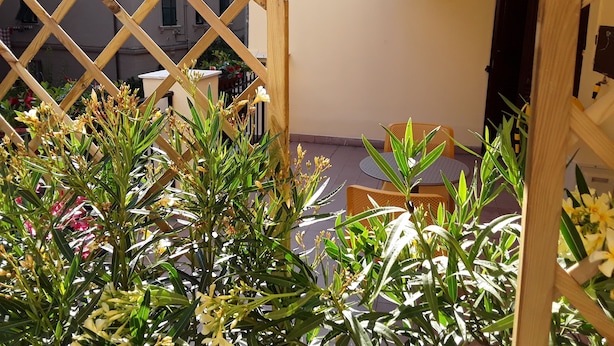 Una estructura de celosía de madera con plantas en primer plano, una pequeña mesa redonda y una silla al fondo.