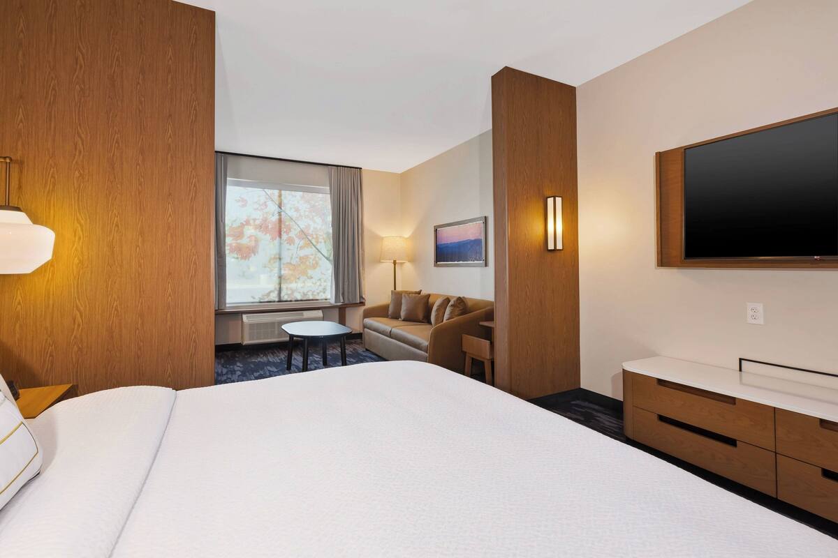 Habitación de hotel con una cama grande, un escritorio, un sofá, un televisor y una ventana con vistas a árboles.