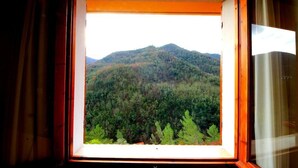 Ein Fenster mit Blick auf einen bewaldeten Berg.
