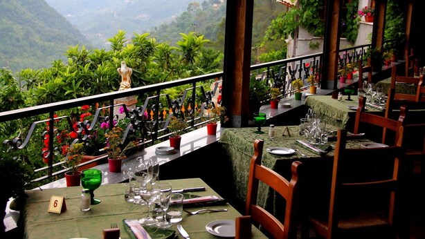 Ein Restaurant mit gedeckten Tischen, Zimmerpflanzen und Blick auf eine Berglandschaft.