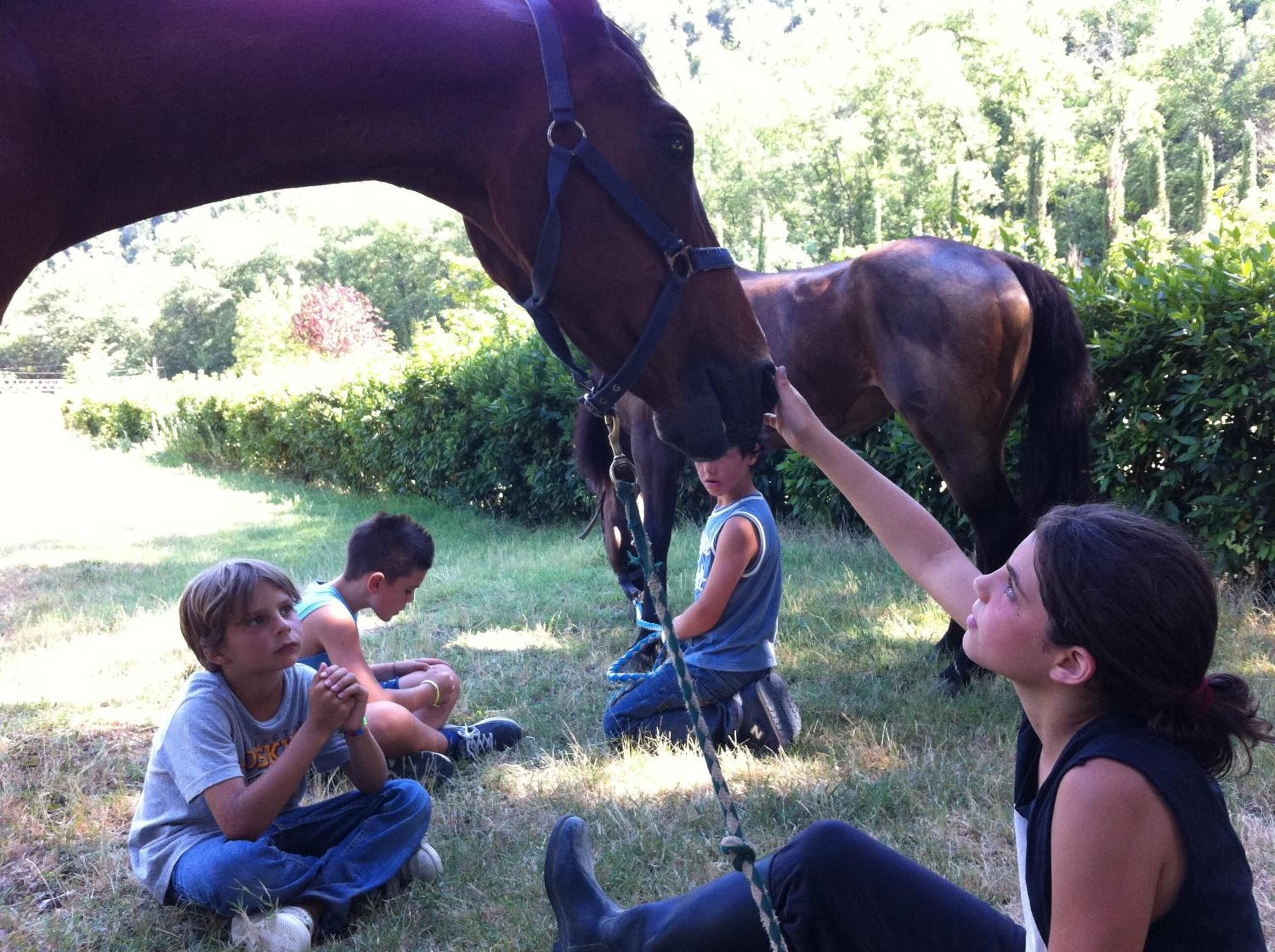 A group of people sitting on grass with a horse in the background.