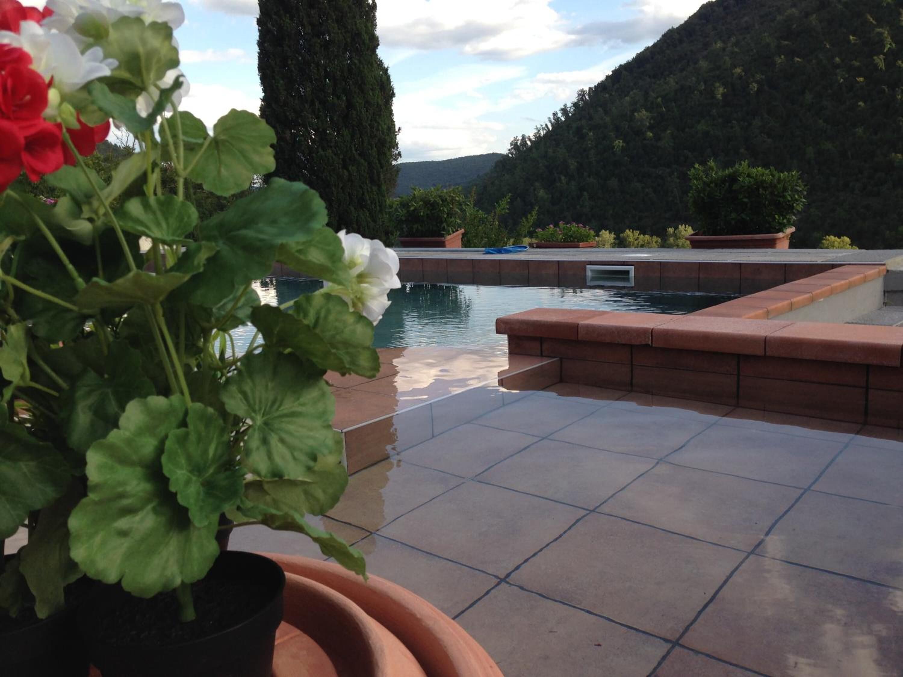 Et poolområde med udsigt til bjerge, omgivet af terrasserede beplantninger og krukker med planter.