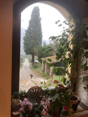 View from property - Tenuta dei Cavalieri (Pontassieve)