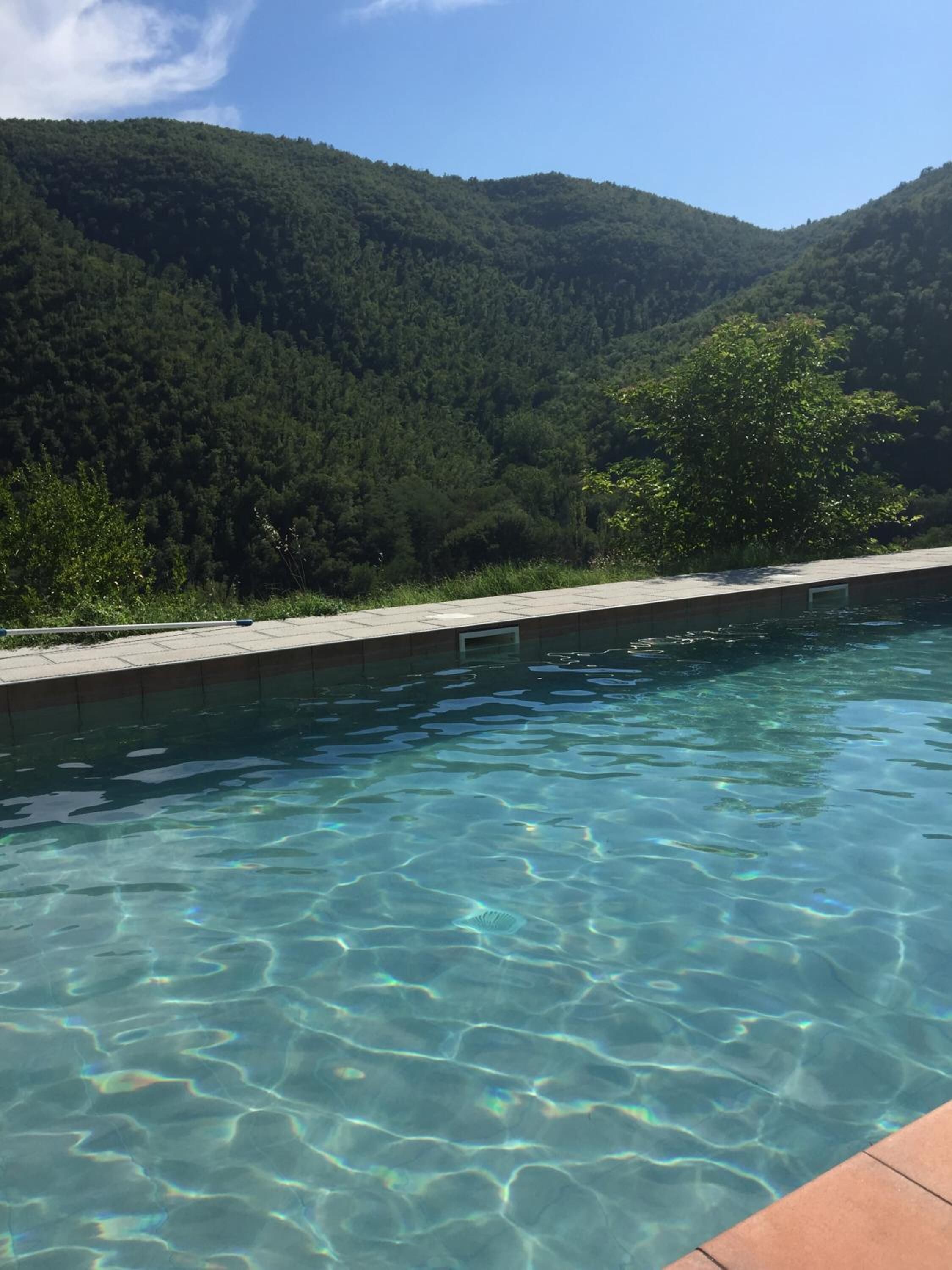 Seasonal outdoor pool, open 10:00 AM to 6:00 PM, pool loungers