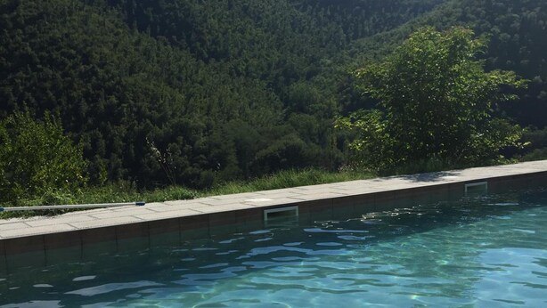 Une piscine aux eaux cristallines, avec vue sur une colline boisée.