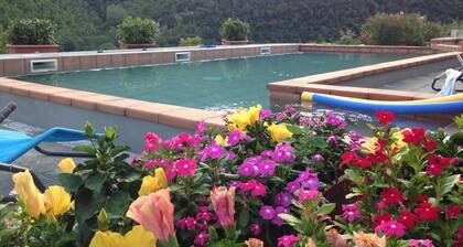 Tenuta dei Cavalieri