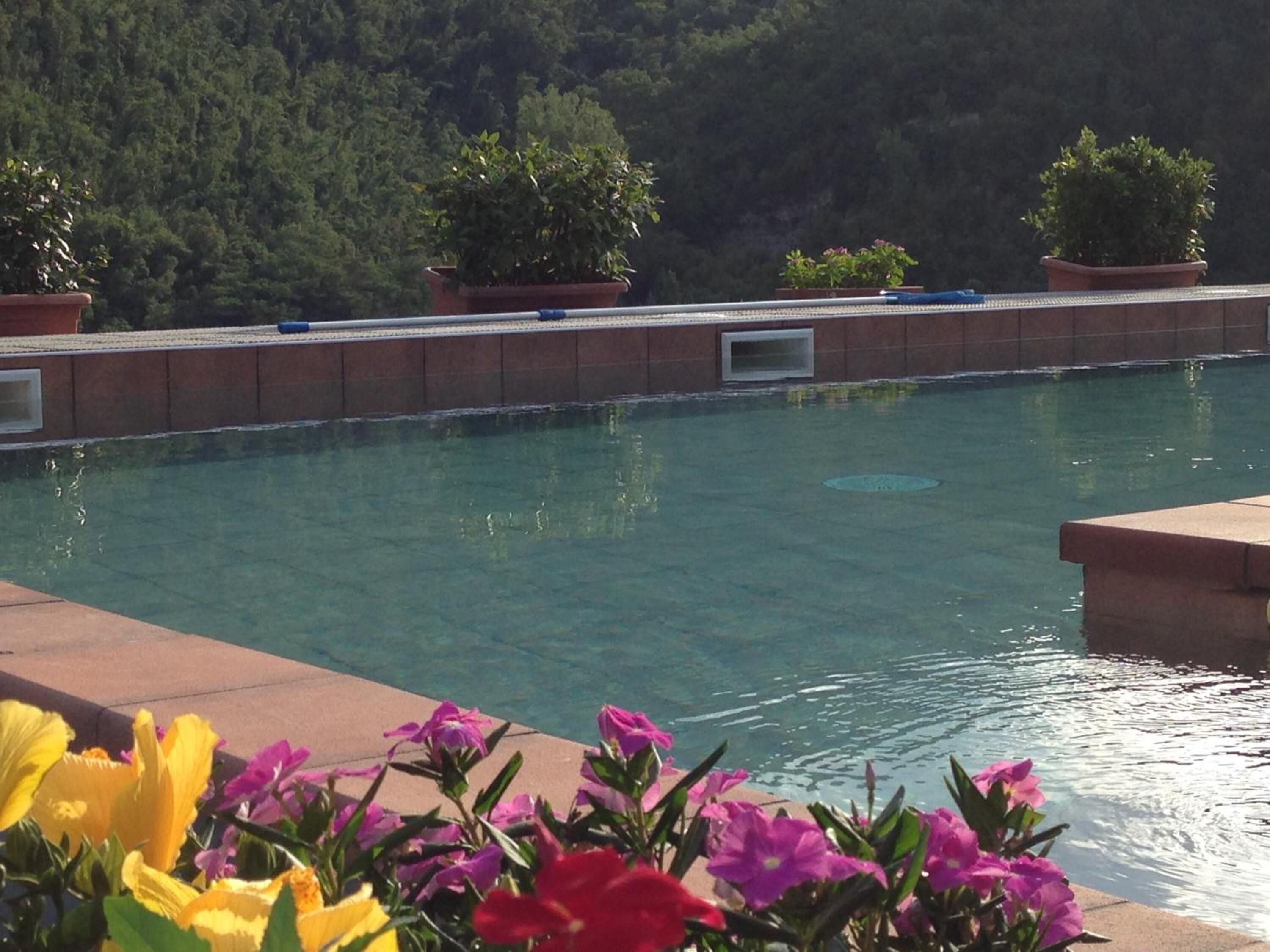 A swimming pool with clear water, surrounded by potted plants and flowers.