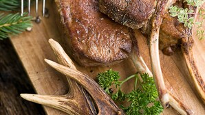 A wooden cutting board with a cooked lamb chop, a pair of antlers, and a jar of cranberry sauce. - Hotel Merkurwald-Restaurant Wolpertinger (Baden-Baden)