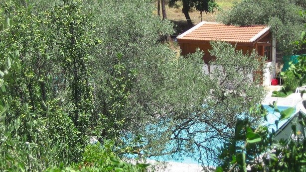 Una piscina rodeada de abundante vegetación, con un edificio al fondo.